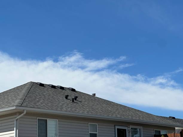 Best Hot Roofs  in Kingston, NY